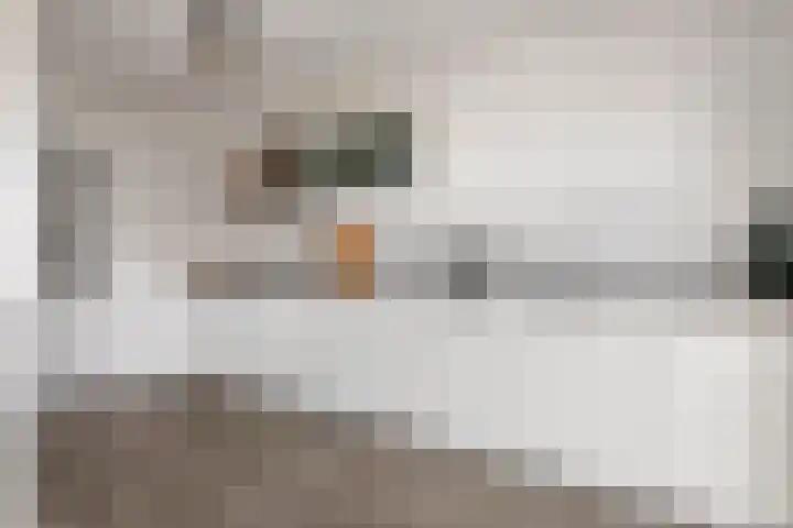 Grotebrugse Grintweg 113 Tiel thumbnail 14