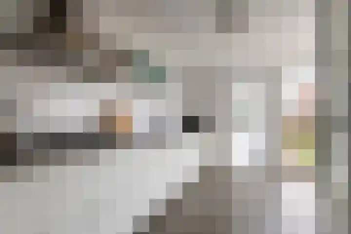 Grotebrugse Grintweg 113 Tiel thumbnail 15