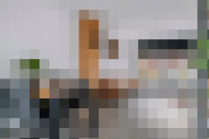 Grotebrugse Grintweg 113 Tiel thumbnail 4