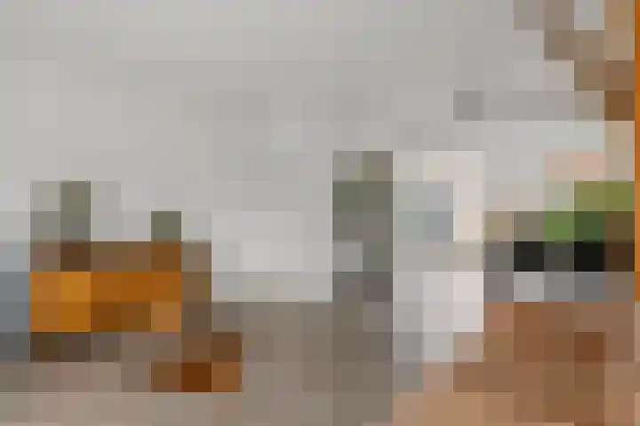 Grotebrugse Grintweg 113 Tiel thumbnail 7