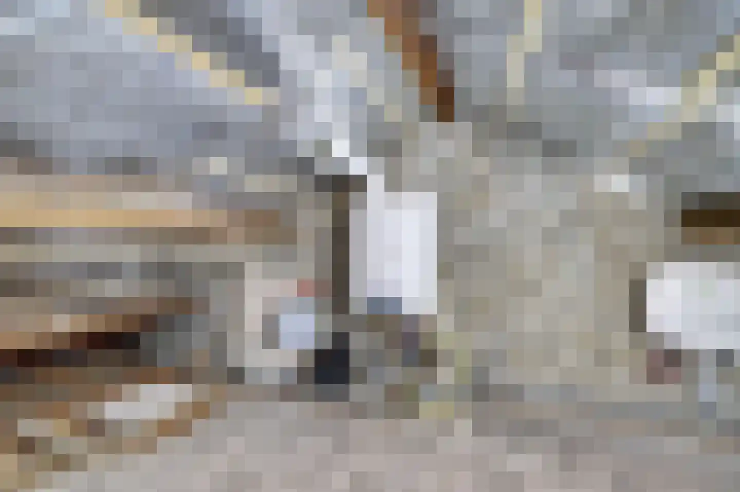 Grotebrugse Grintweg 123 Tiel thumbnail 33