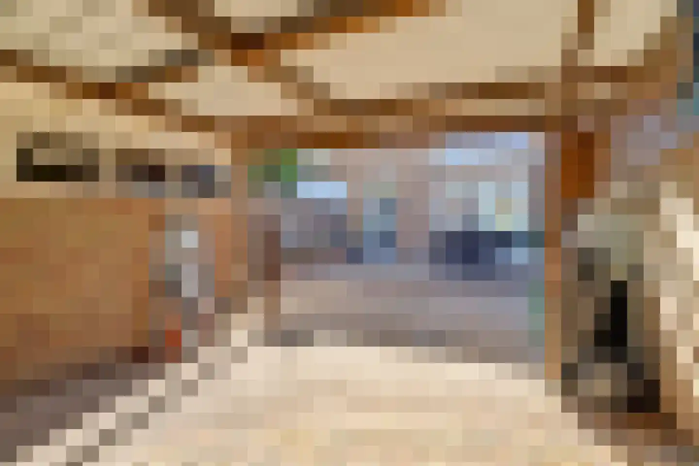 Grotebrugse Grintweg 123 Tiel thumbnail 35