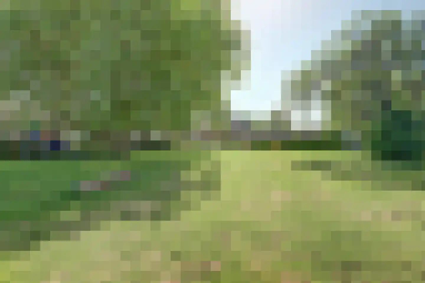 Grotebrugse Grintweg 123 Tiel thumbnail 41