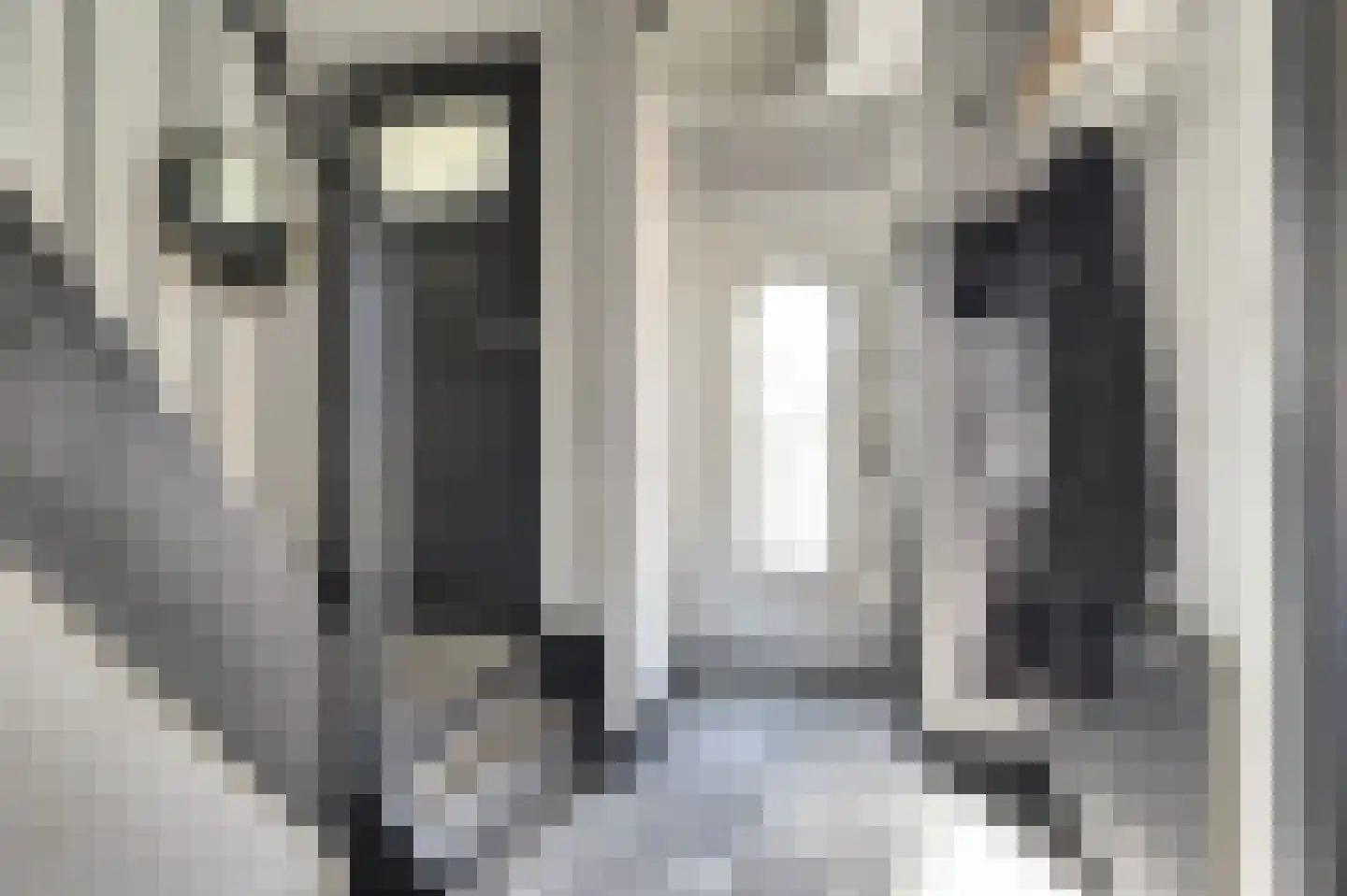 Grotebrugse Grintweg 123 Tiel thumbnail 7