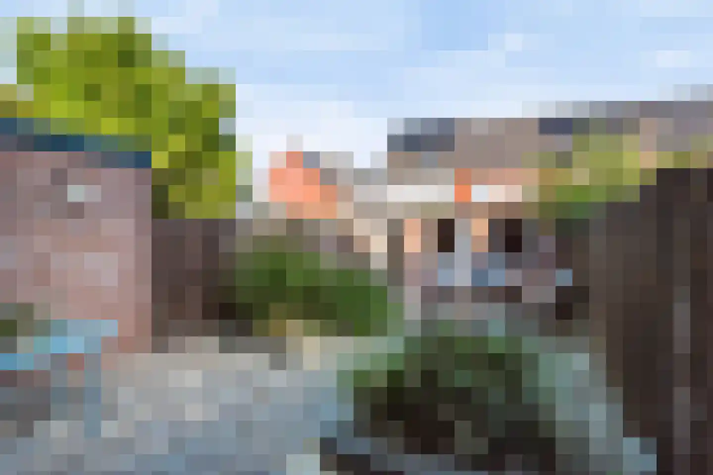 Grotebrugse Grintweg 128 Tiel thumbnail 37