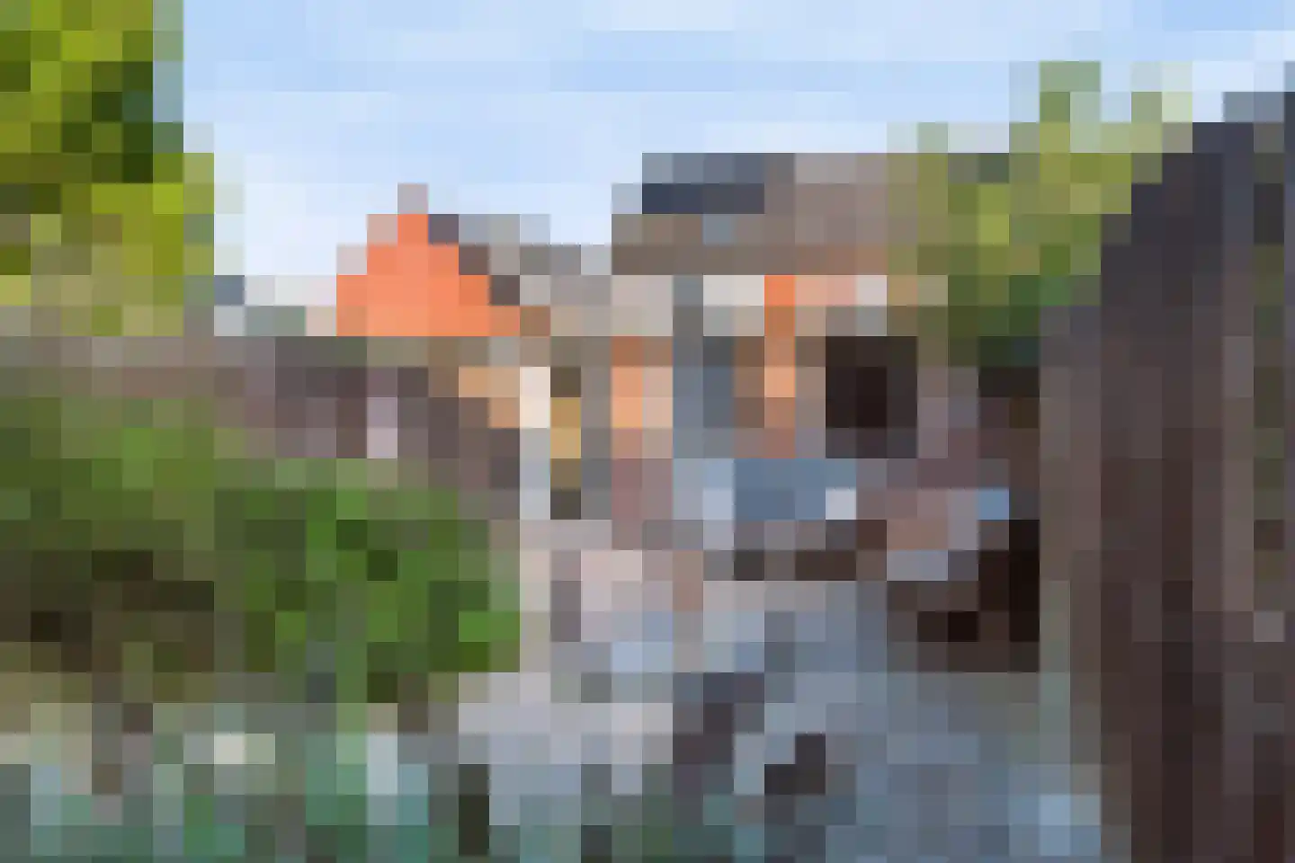 Grotebrugse Grintweg 128 Tiel thumbnail 8
