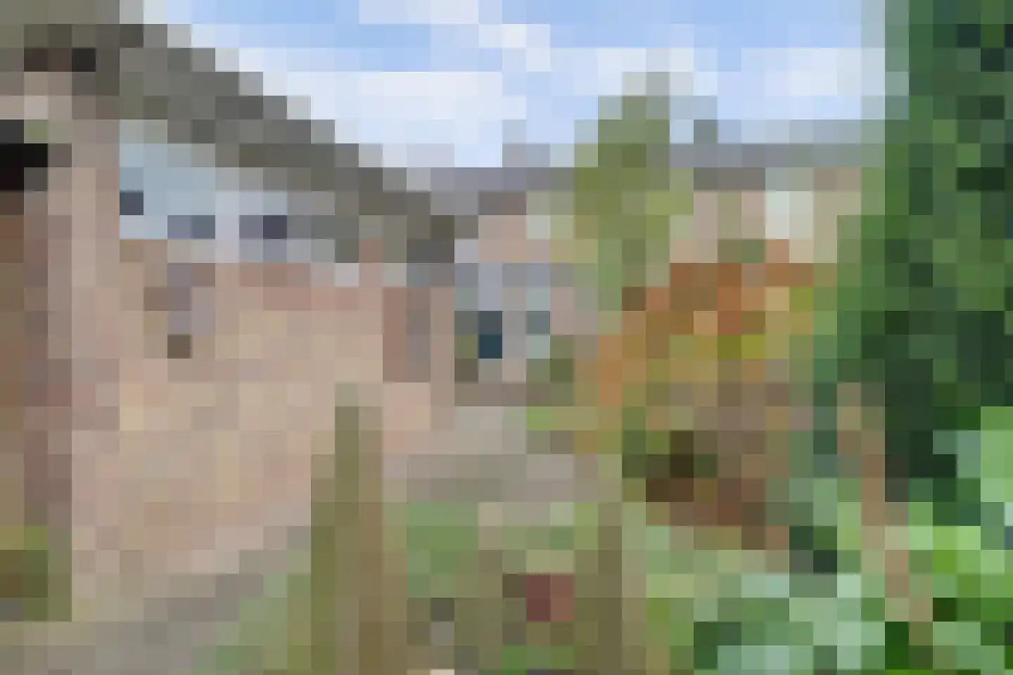 Grotebrugse Grintweg 129 Tiel thumbnail 41