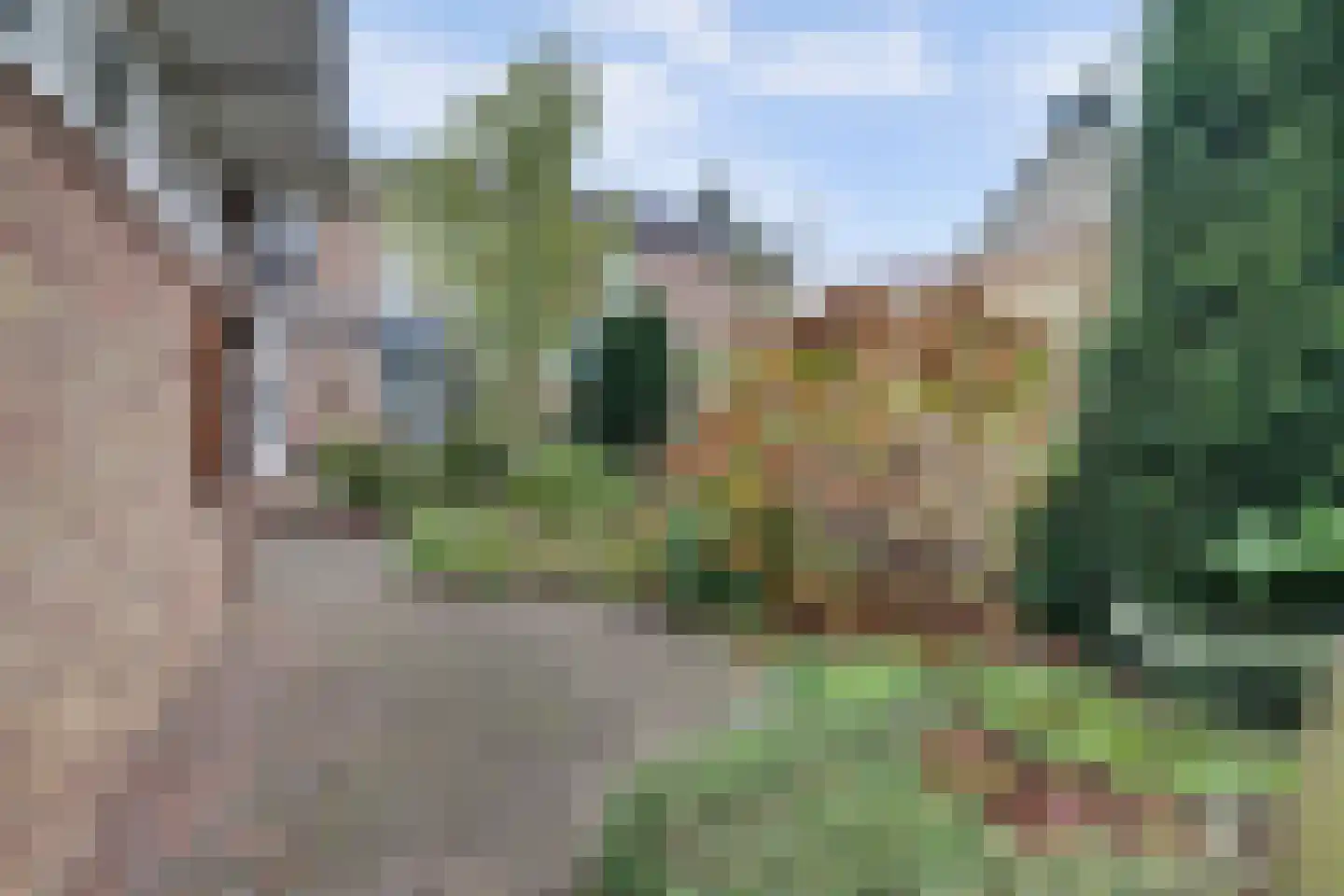 Grotebrugse Grintweg 129 Tiel thumbnail 42