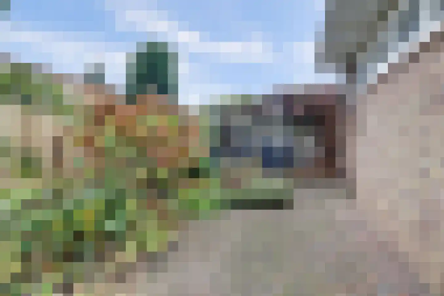 Grotebrugse Grintweg 129 Tiel thumbnail 43
