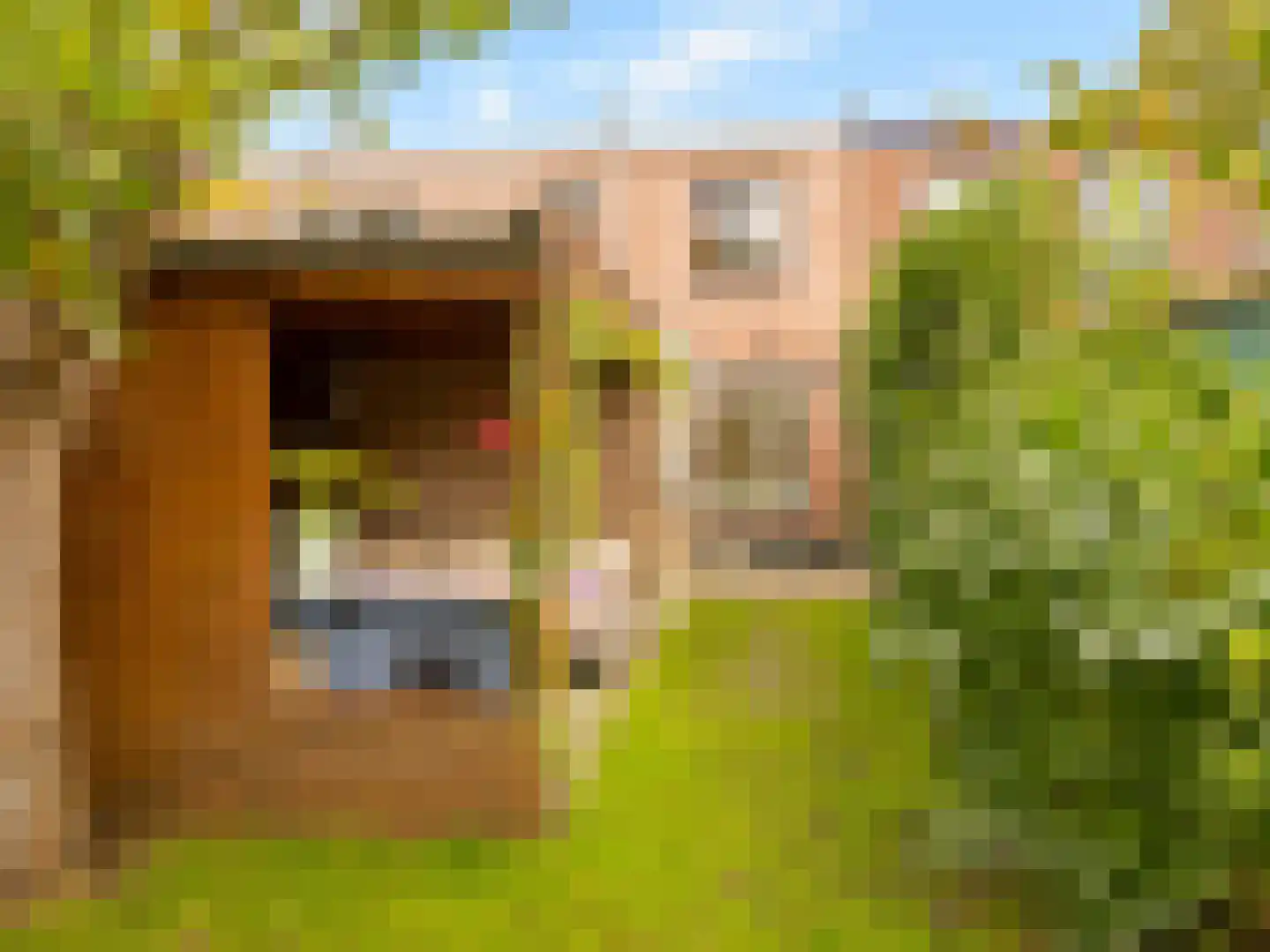 Grotebrugse Grintweg 144 Tiel thumbnail 24