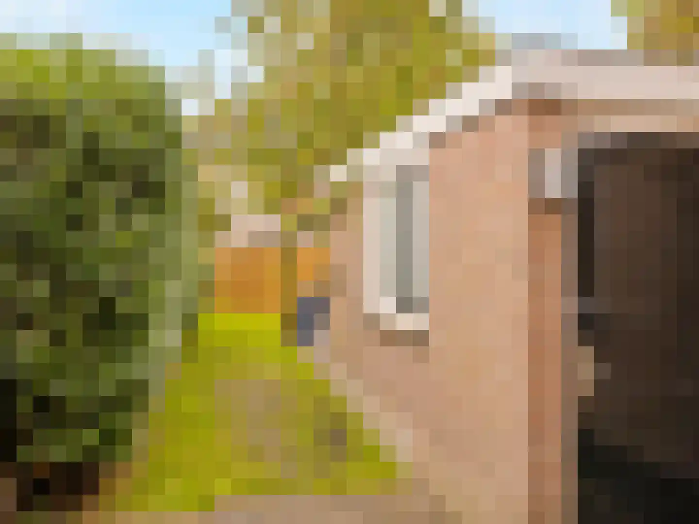Grotebrugse Grintweg 144 Tiel thumbnail 26