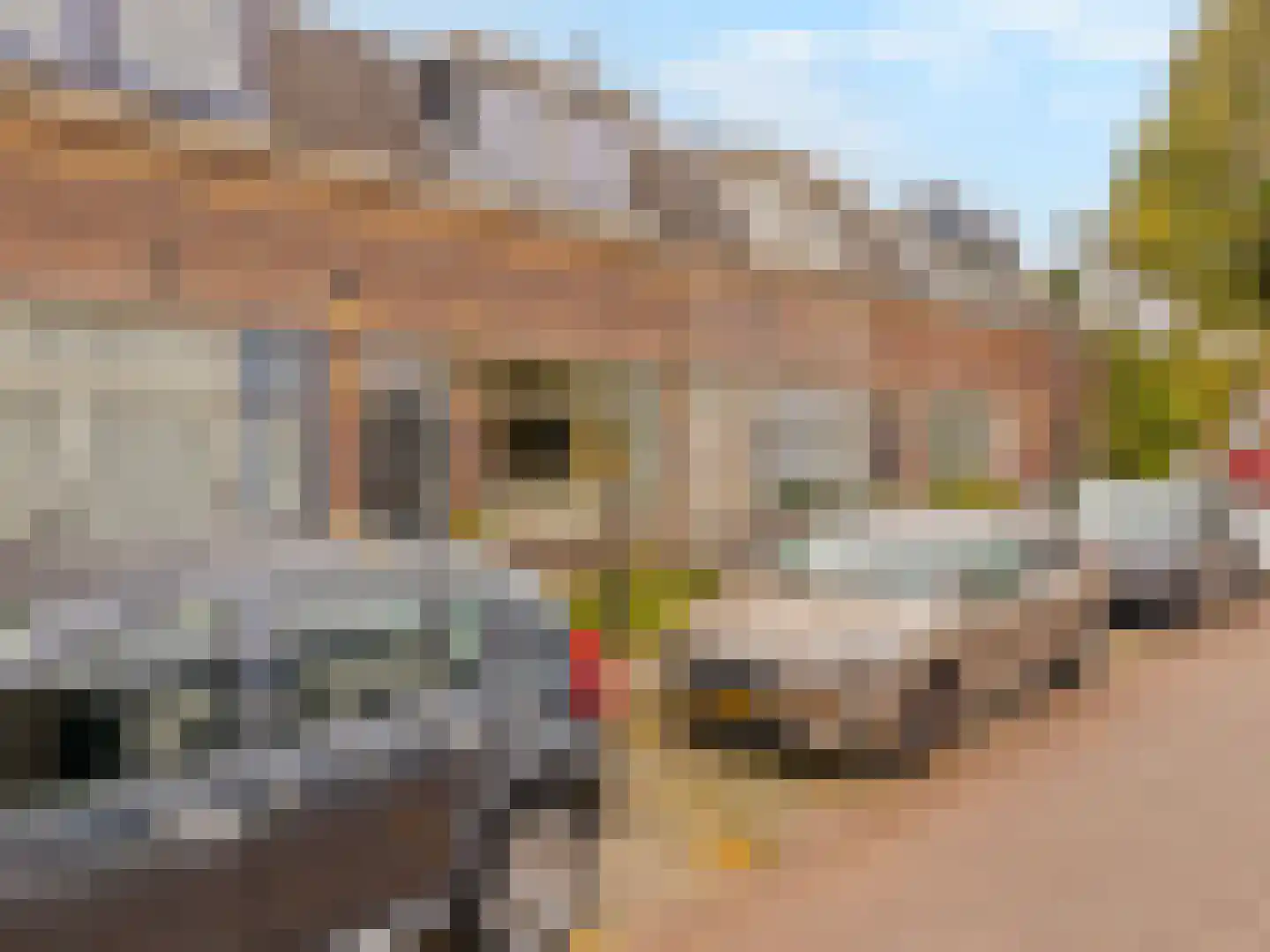 Grotebrugse Grintweg 144 Tiel thumbnail 28