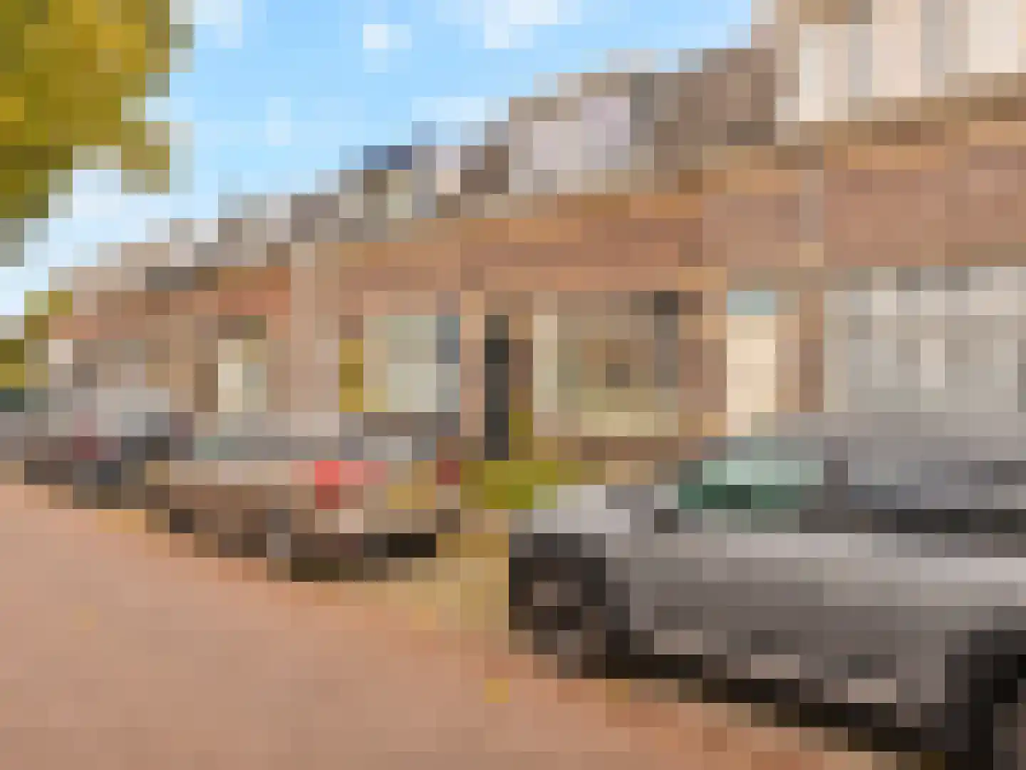 Grotebrugse Grintweg 144 Tiel thumbnail 29