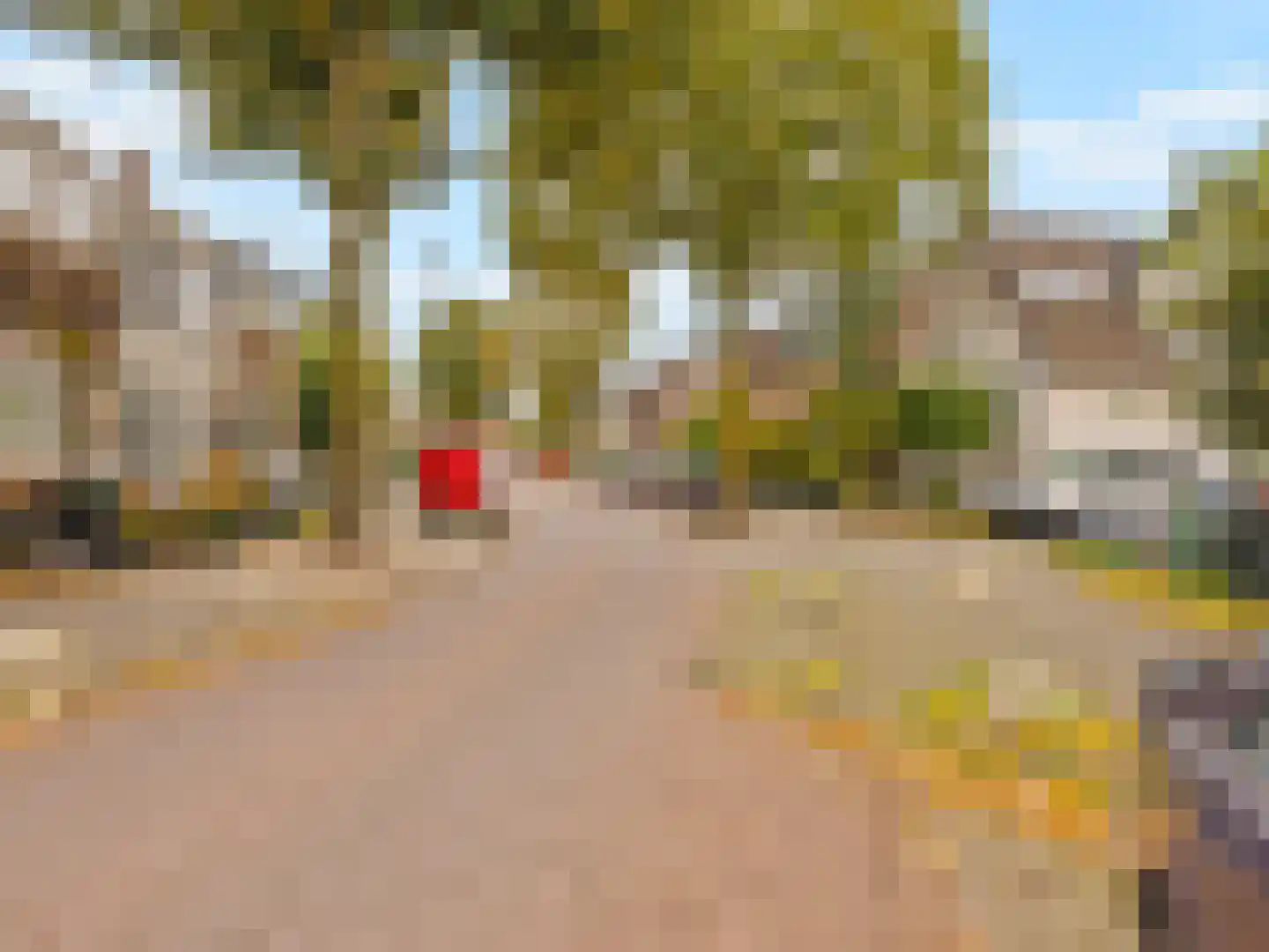 Grotebrugse Grintweg 144 Tiel thumbnail 31