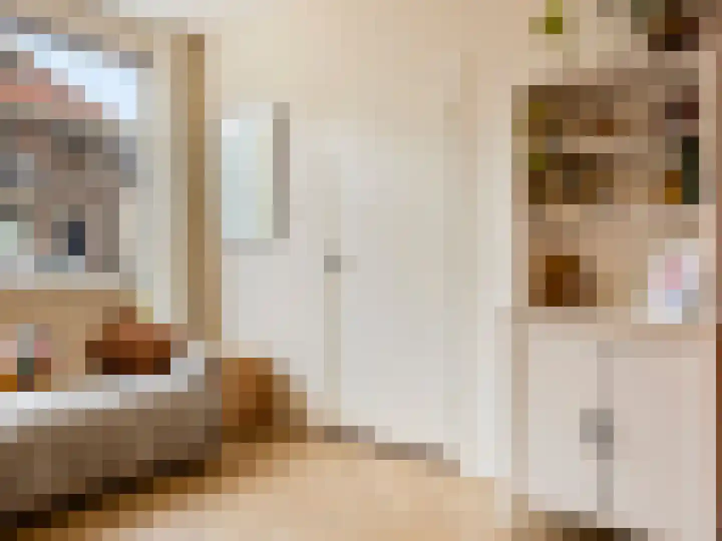 Grotebrugse Grintweg 144 Tiel thumbnail 8