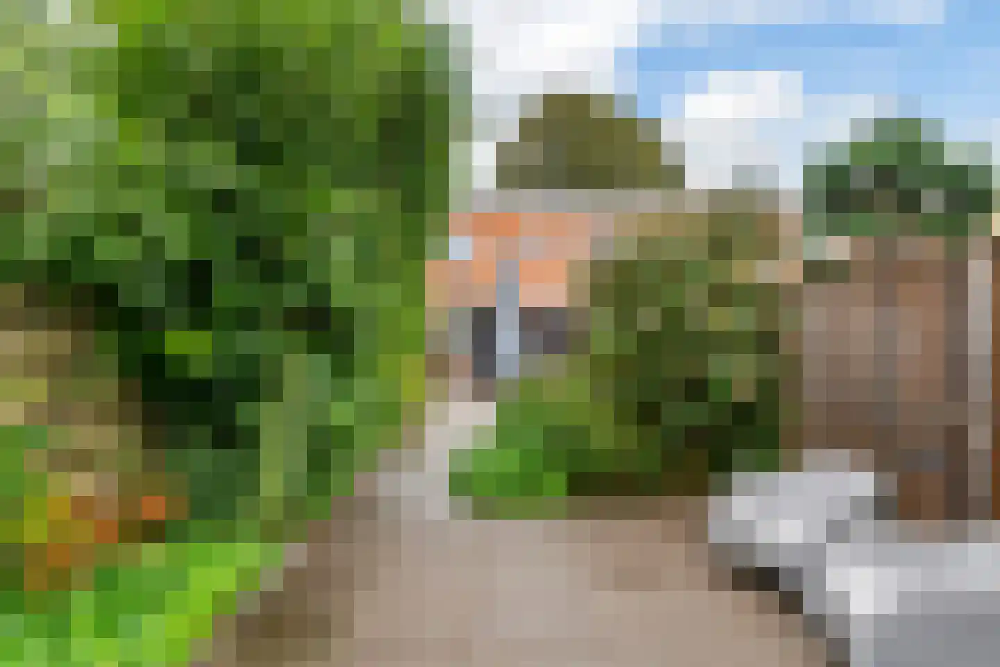 Grotebrugse Grintweg 148 Tiel thumbnail 25