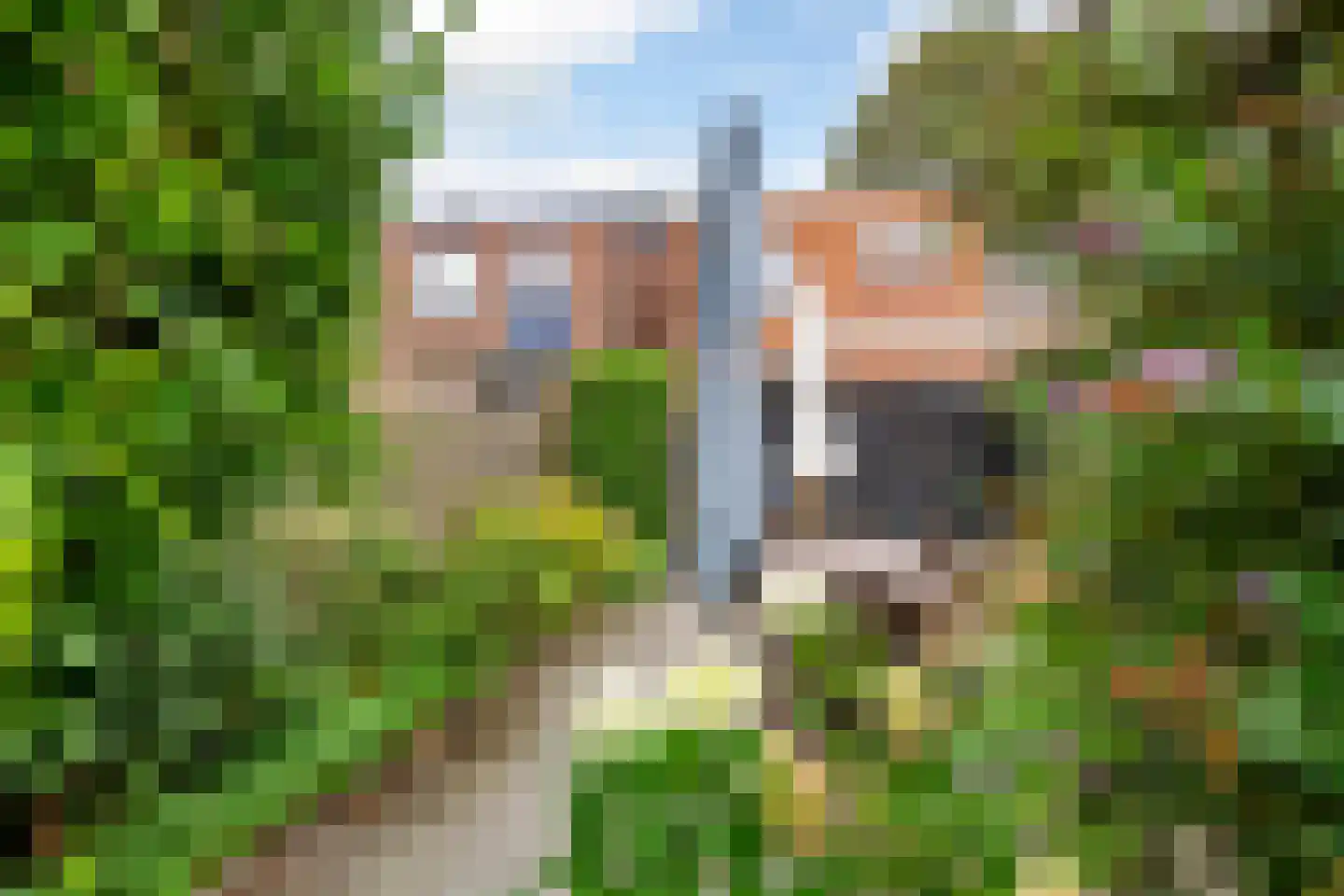 Grotebrugse Grintweg 148 Tiel thumbnail 26