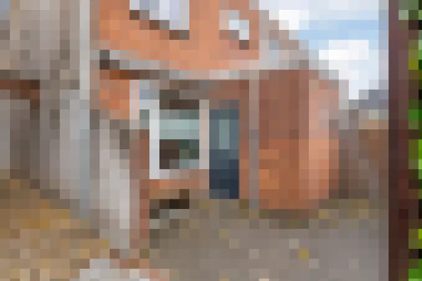 Grotebrugse Grintweg 148 Tiel thumbnail 29