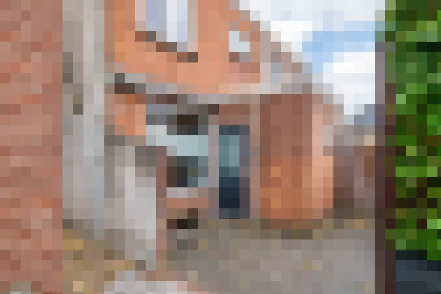Grotebrugse Grintweg 148 Tiel thumbnail 31