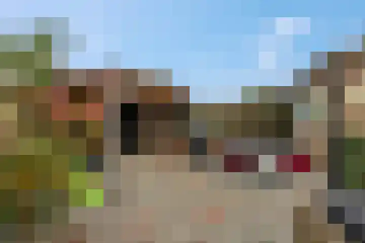 Grotebrugse Grintweg 157 Tiel thumbnail 35