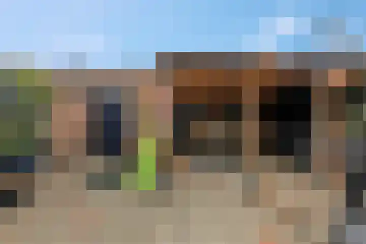 Grotebrugse Grintweg 157 Tiel thumbnail 5