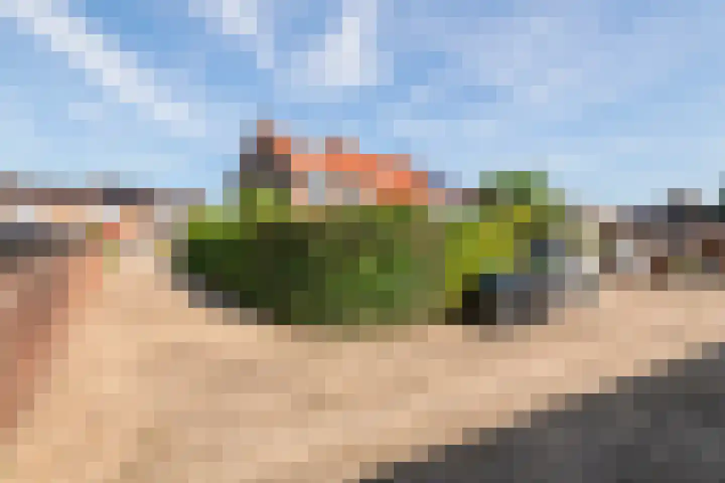 Grotebrugse Grintweg 162 Tiel thumbnail 12