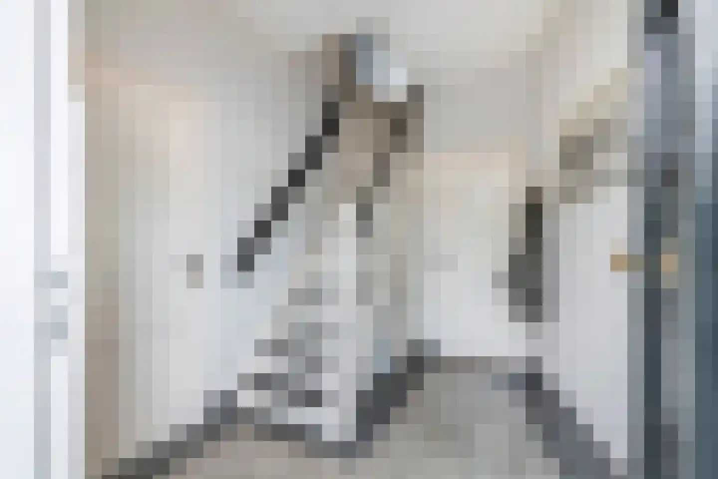 Grotebrugse Grintweg 20 Tiel thumbnail 4