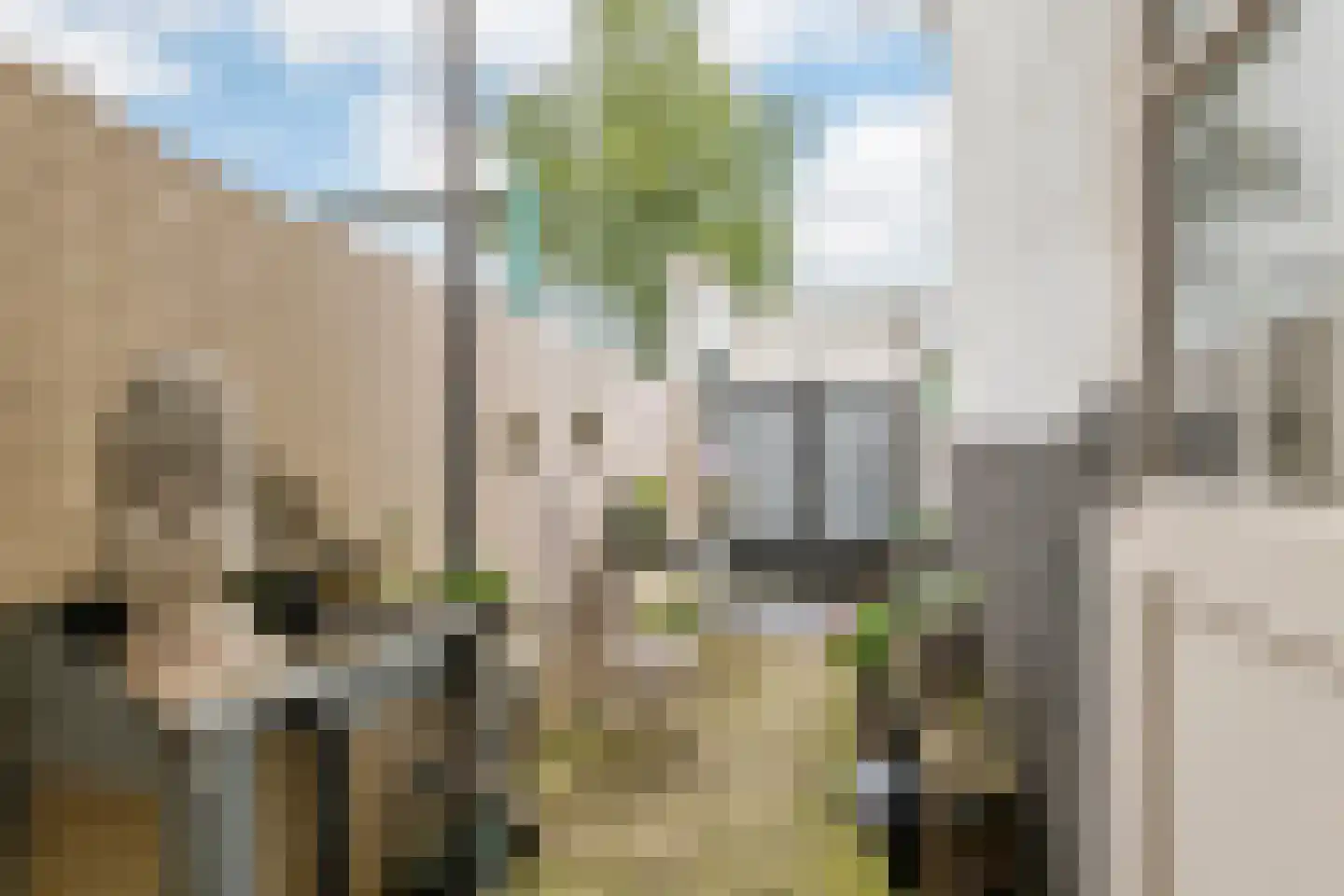 Grotebrugse Grintweg 20 Tiel thumbnail 57