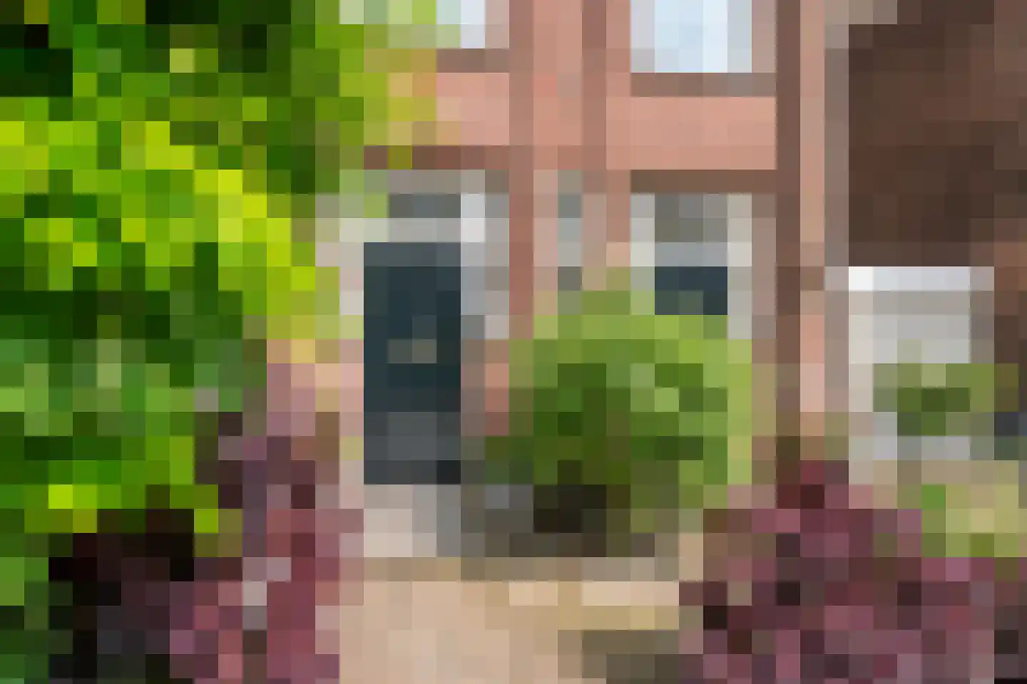 Grotebrugse Grintweg 20 Tiel thumbnail 60