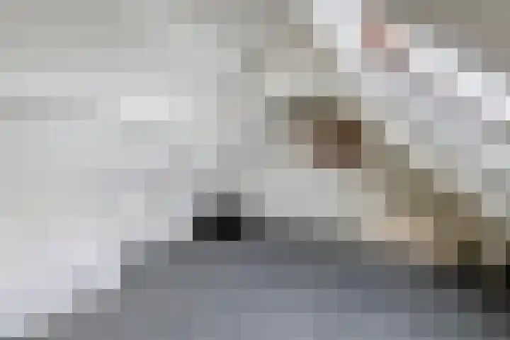 Grotebrugse Grintweg 30 Tiel thumbnail 37