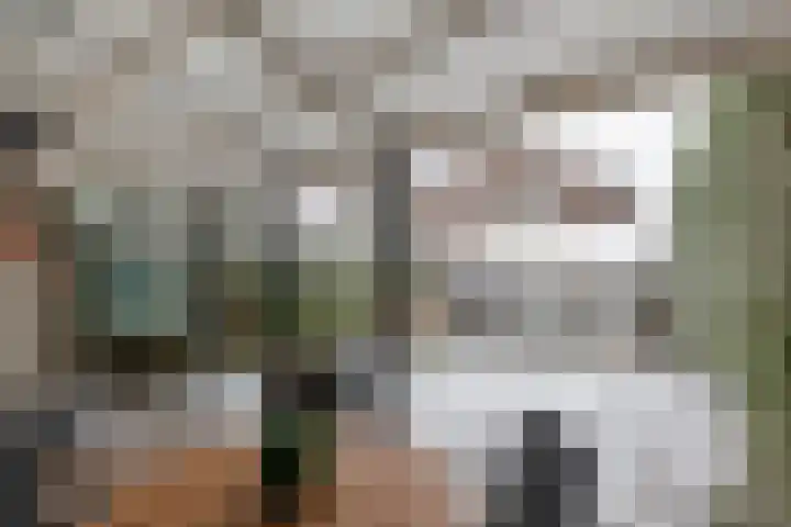 Grotebrugse Grintweg 30 Tiel thumbnail 4