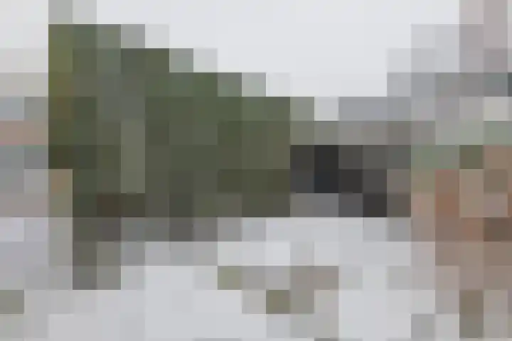 Grotebrugse Grintweg 30 Tiel thumbnail 5