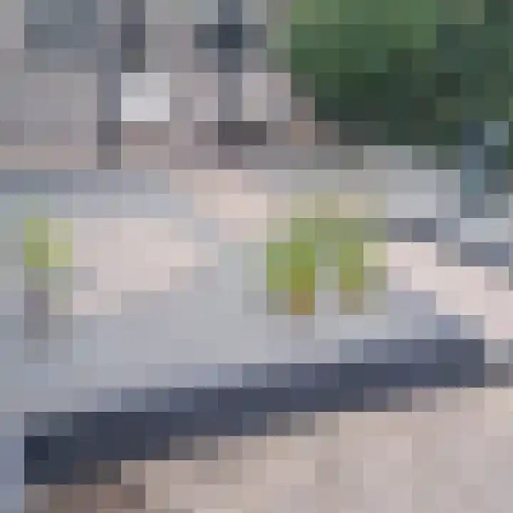 Grotebrugse Grintweg 30 Tiel thumbnail 52