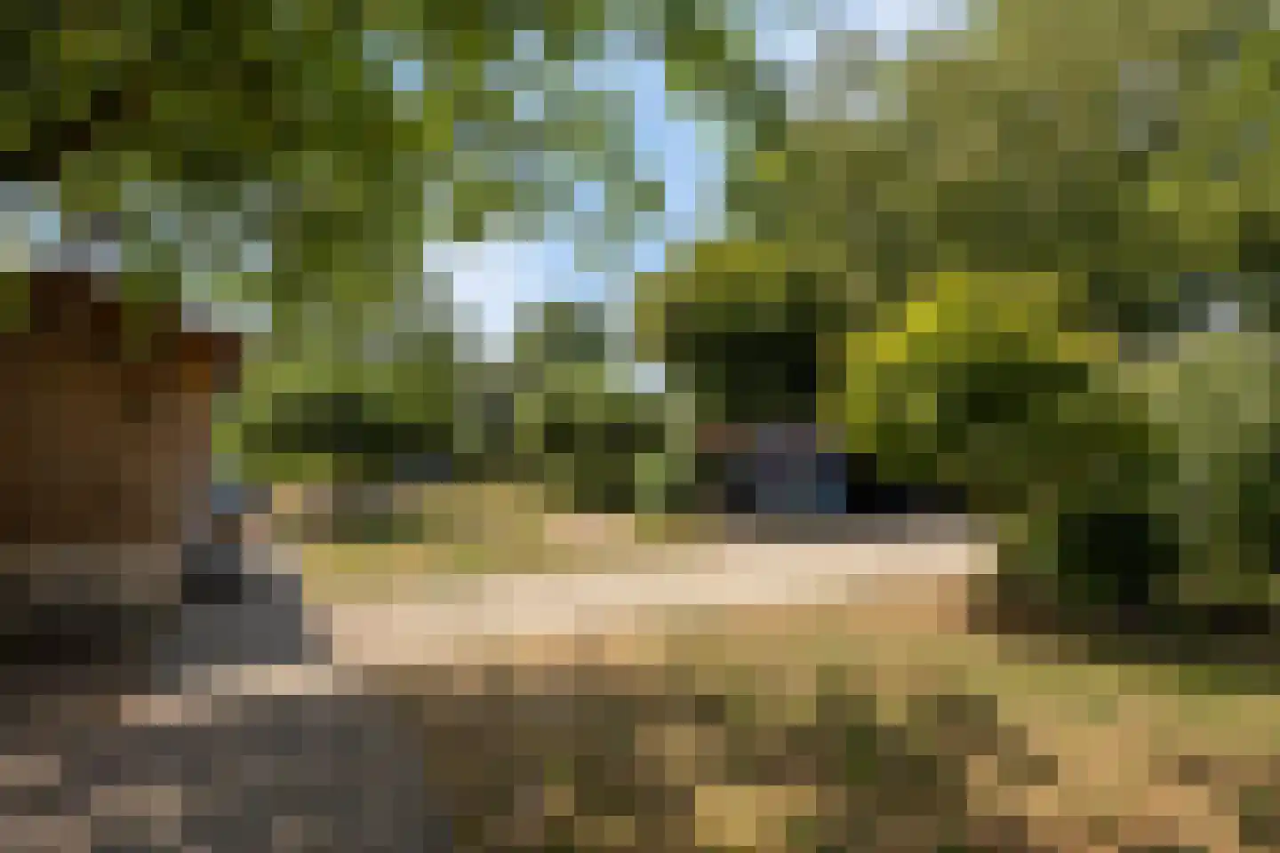 Grotebrugse Grintweg 4 Zoelen thumbnail 28