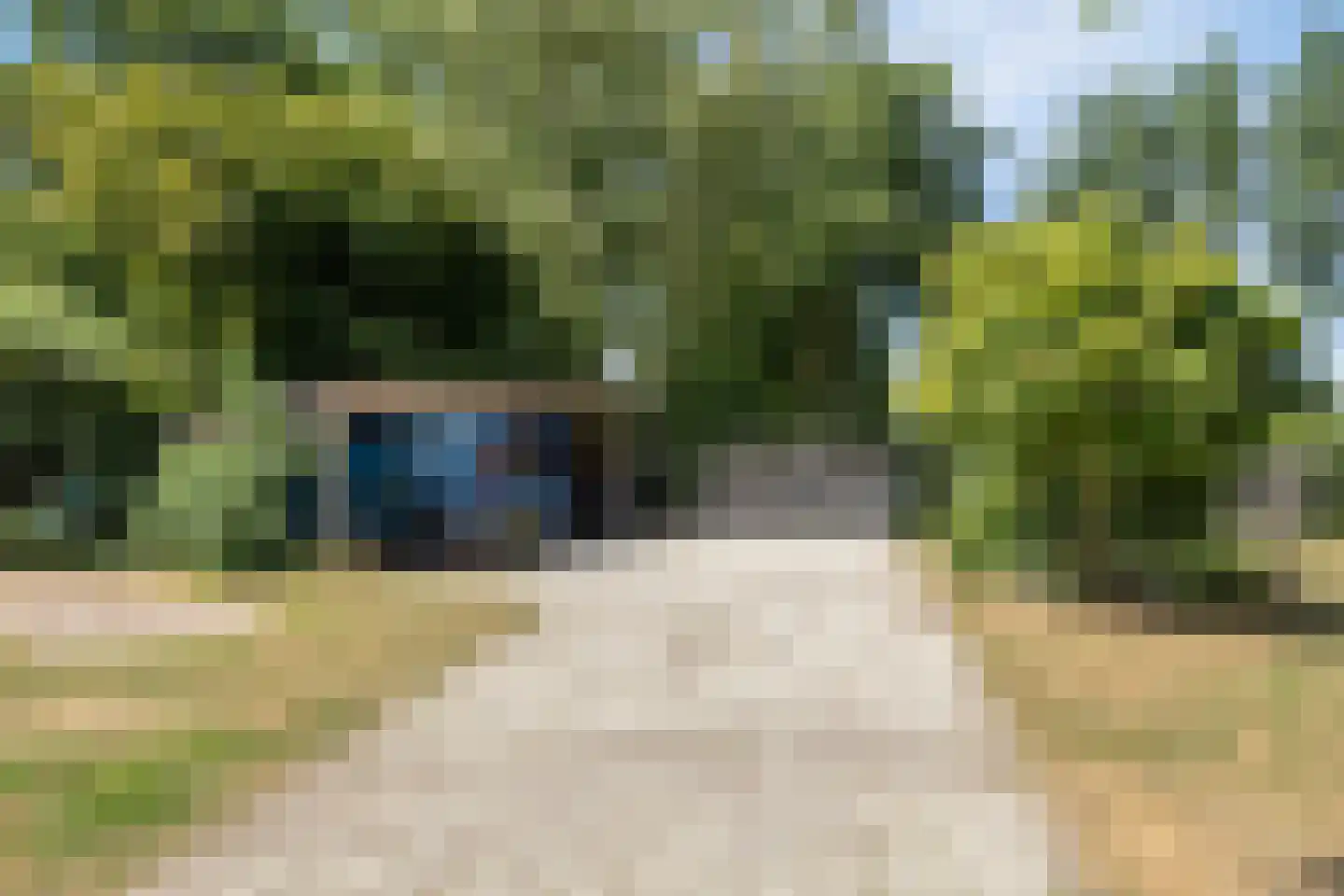 Grotebrugse Grintweg 4 Zoelen thumbnail 30