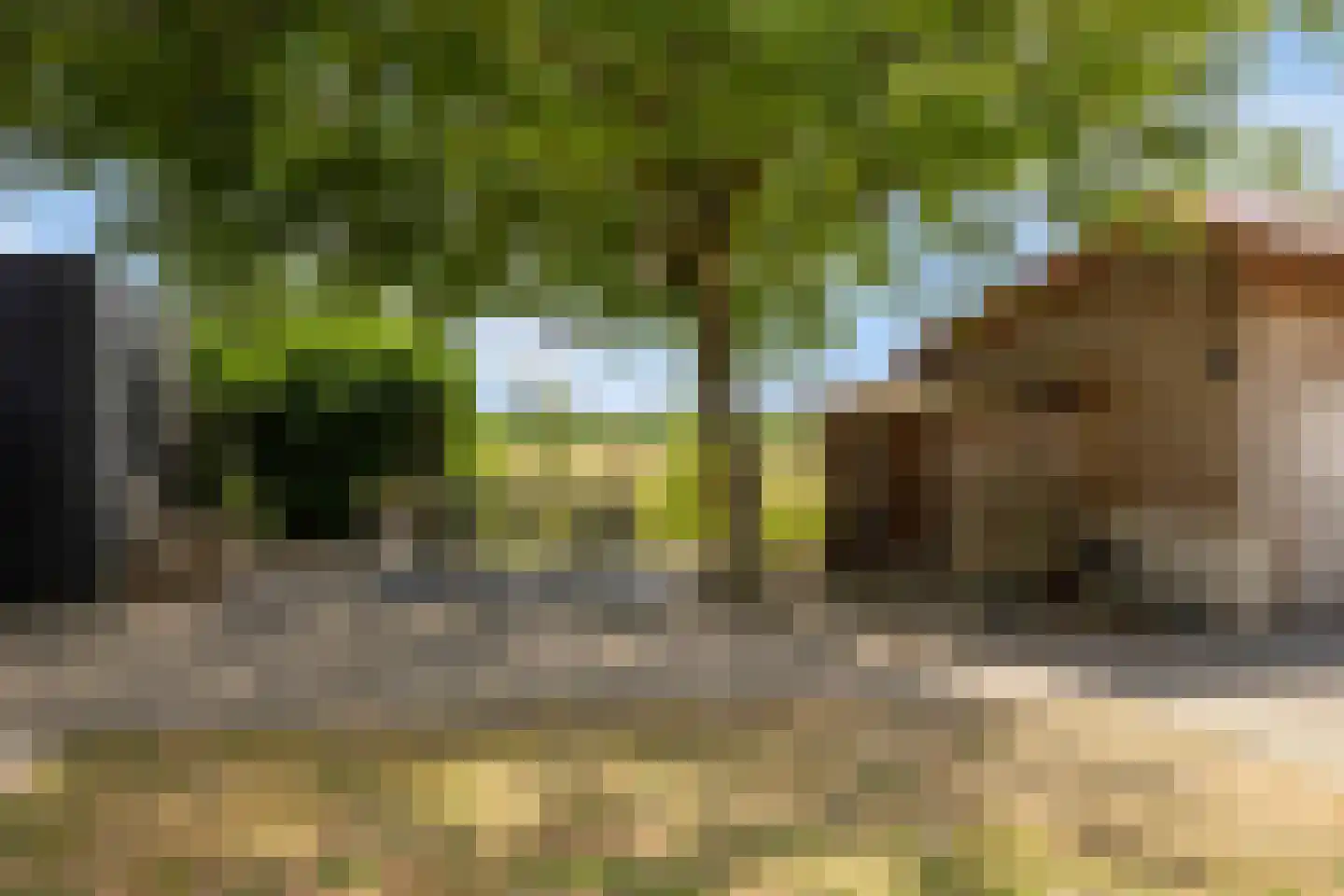 Grotebrugse Grintweg 4 Zoelen thumbnail 31