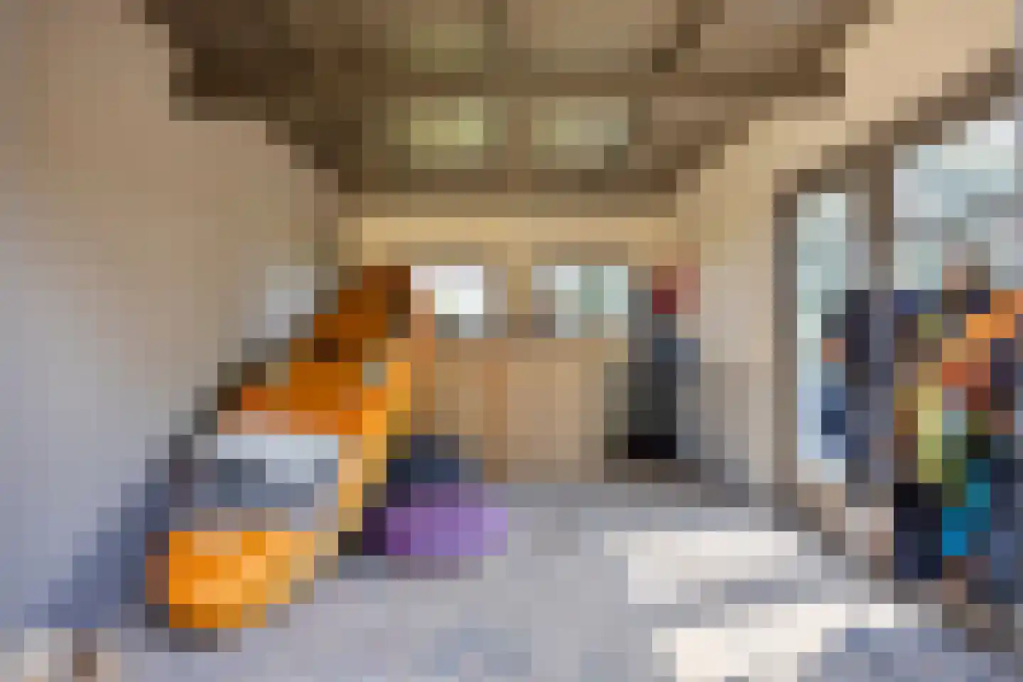 Grotebrugse Grintweg 4 Zoelen thumbnail 33
