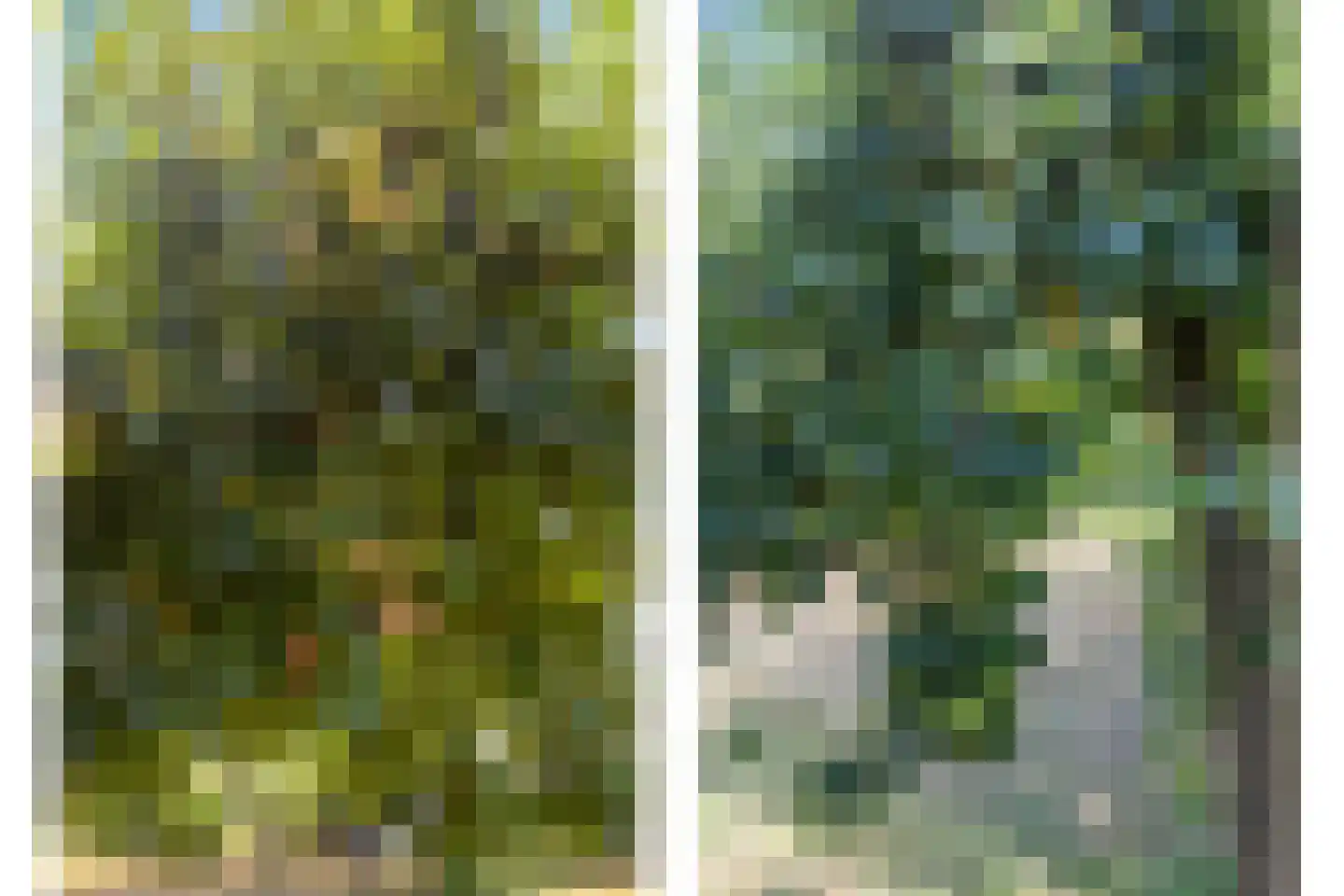 Grotebrugse Grintweg 4 Zoelen thumbnail 34