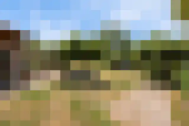 Grotebrugse Grintweg 4 Zoelen thumbnail 38