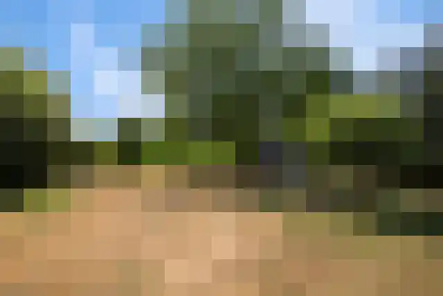 Grotebrugse Grintweg 4 Zoelen thumbnail 39