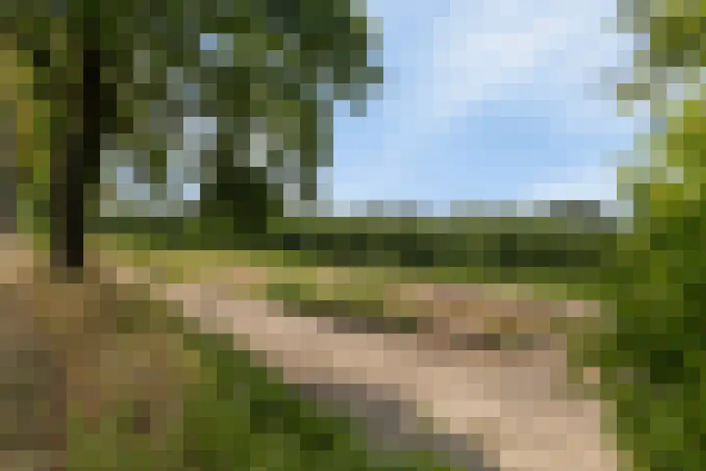 Grotebrugse Grintweg 4 Zoelen thumbnail 41
