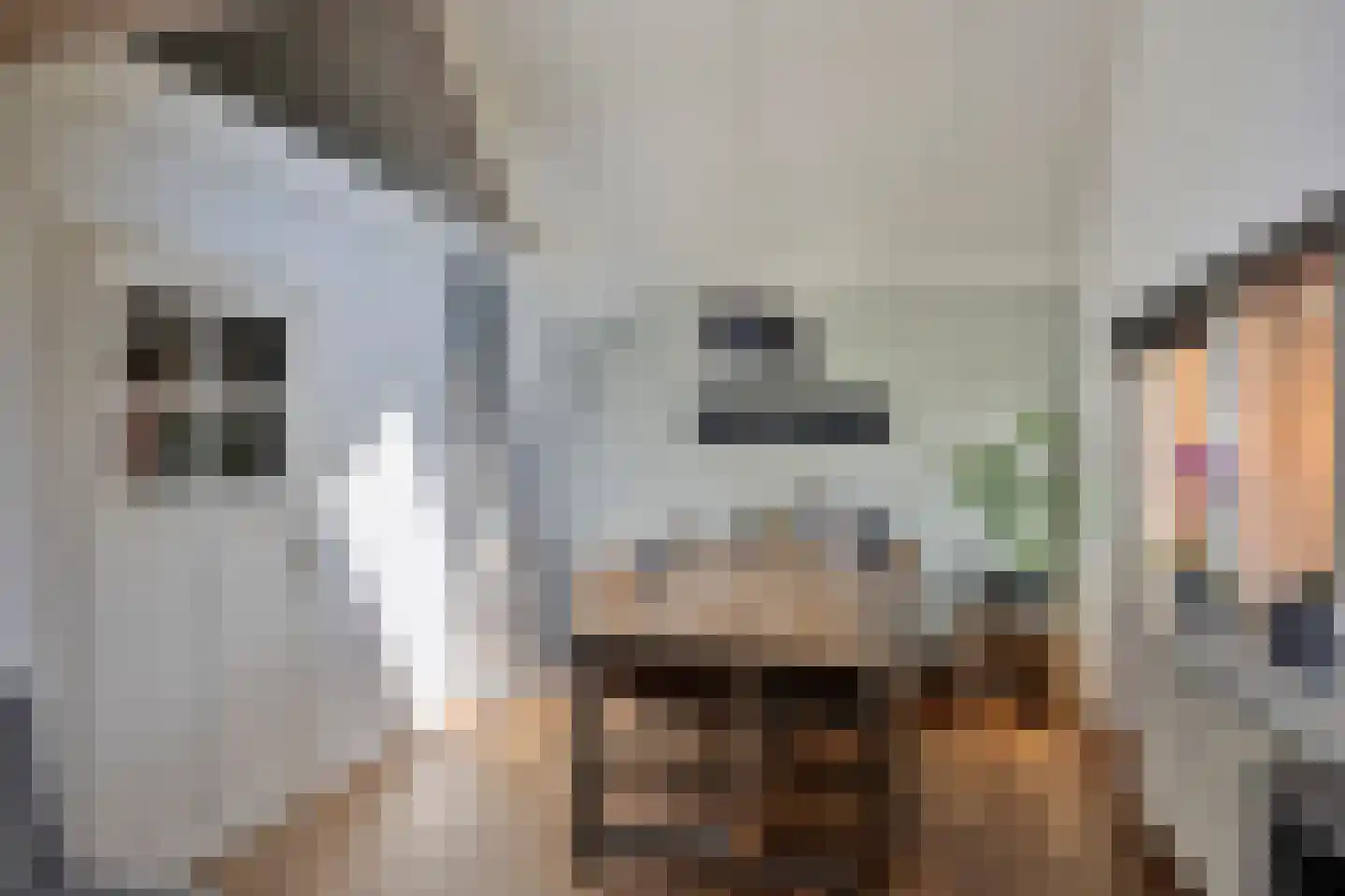 Grotebrugse Grintweg 4 Zoelen thumbnail 7