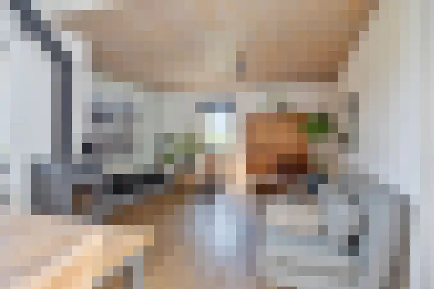 Grotebrugse Grintweg 4 Zoelen thumbnail 9