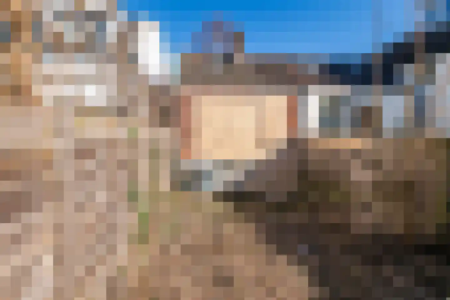 Grotebrugse Grintweg 63 Tiel thumbnail 5