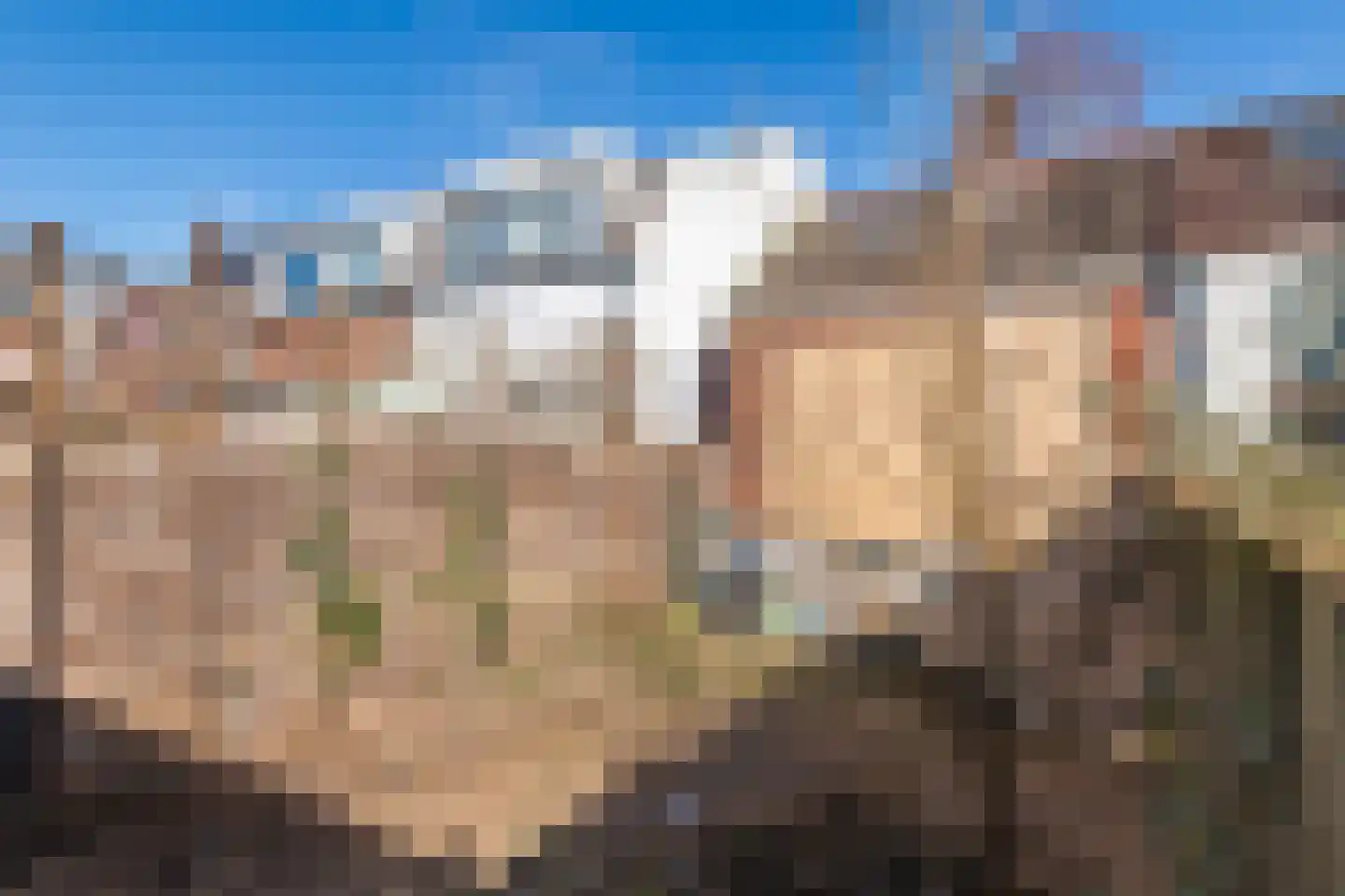 Grotebrugse Grintweg 63 Tiel thumbnail 6