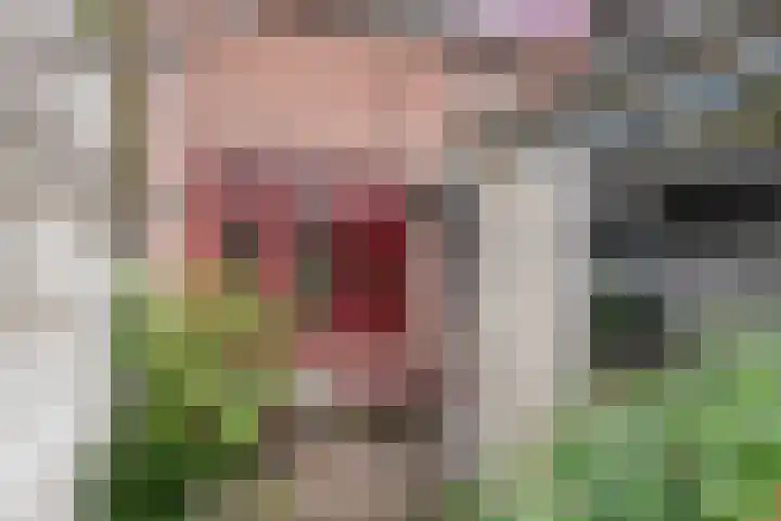 Grotebrugse Grintweg 71 Tiel thumbnail 10
