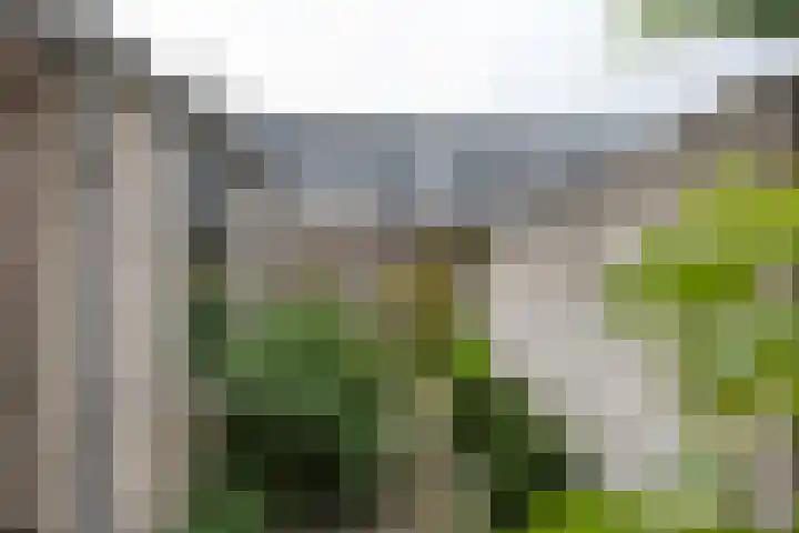Grotebrugse Grintweg 71 Tiel thumbnail 12