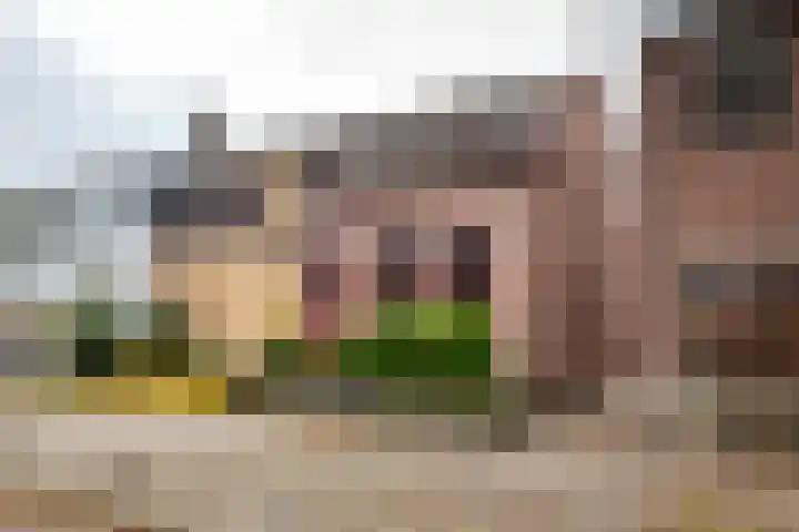Grotebrugse Grintweg 71 Tiel thumbnail 26