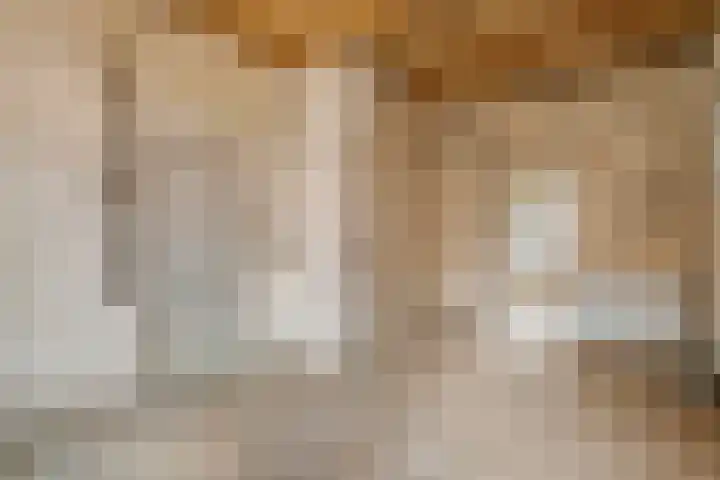 Grotebrugse Grintweg 71 Tiel thumbnail 4