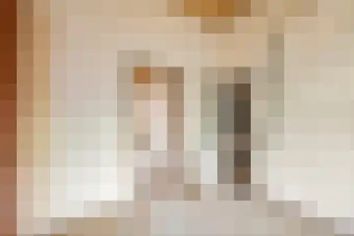 Grotebrugse Grintweg 71 Tiel thumbnail 6